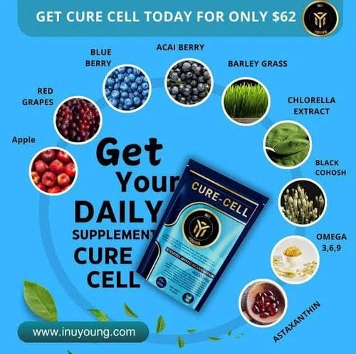 Chiropractic Treatment